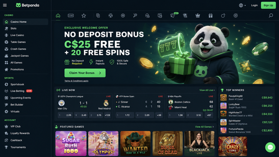 betpanda Gameplay